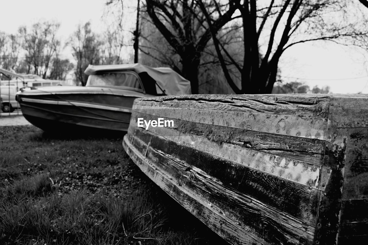 CLOSE-UP OF BOAT ON TREE