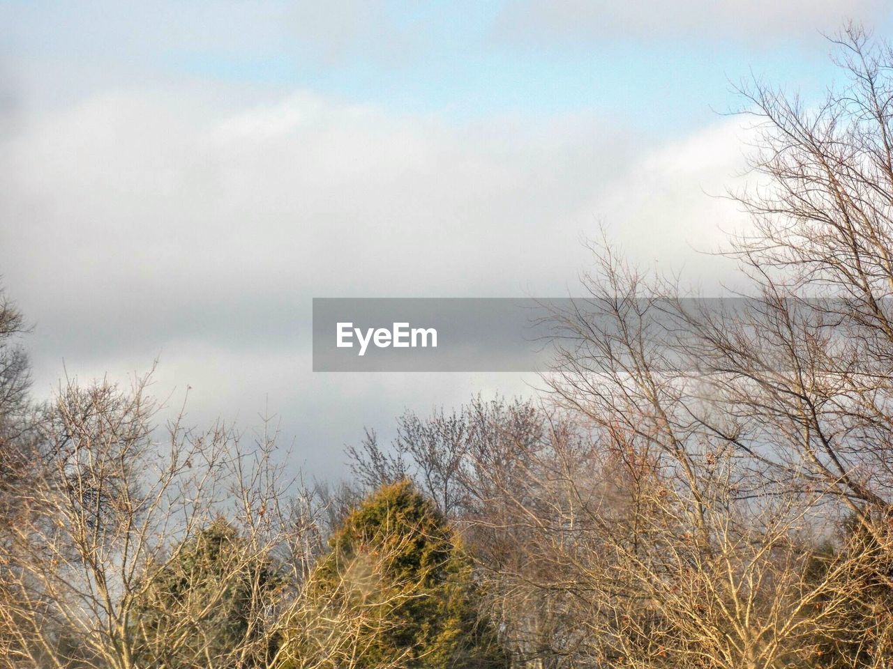 Scenic view of landscape against cloudy sky