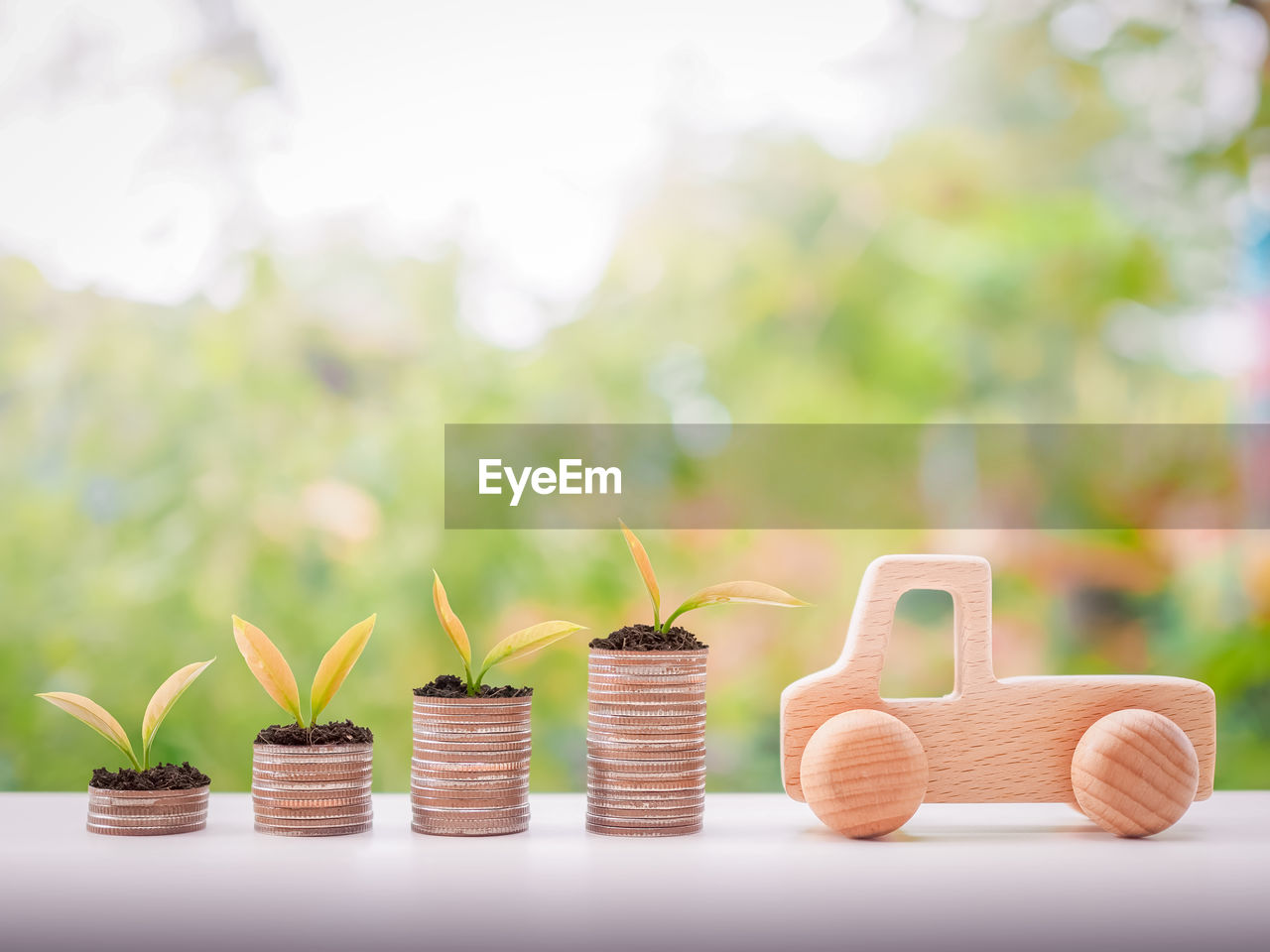 plant, nature, no people, growth, outdoors, gardening, selective focus, green, copy space, focus on foreground, grass, food and drink, food, day, summer