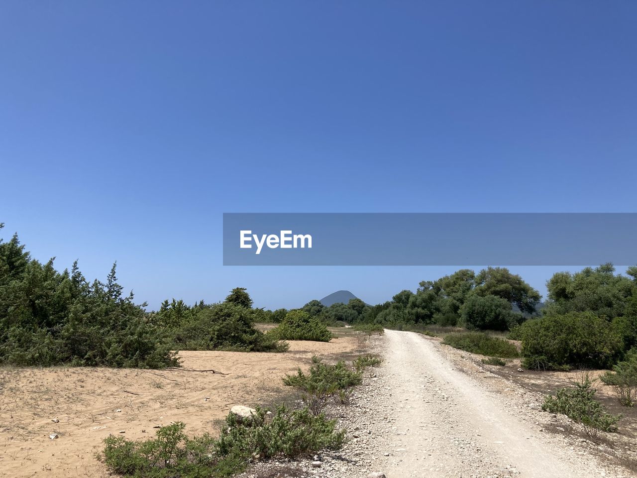 sky, plant, tree, landscape, nature, environment, blue, natural environment, land, road, scenics - nature, clear sky, soil, no people, dirt road, hill, dirt, the way forward, transportation, beauty in nature, tranquility, non-urban scene, field, sunny, travel, day, outdoors, copy space, desert, tranquil scene, sand, rural area, travel destinations, plateau