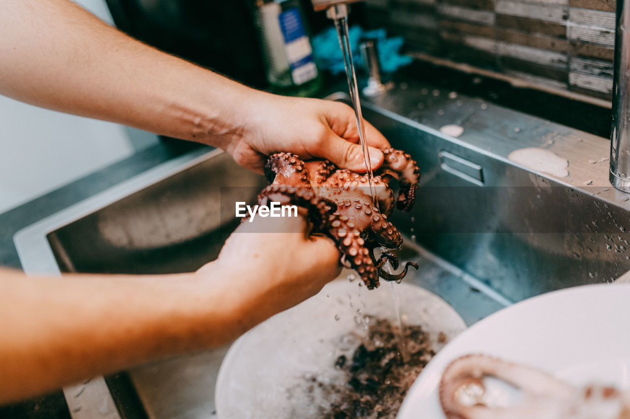 Cropped hands of chef cleaning octopus in kitchen sink