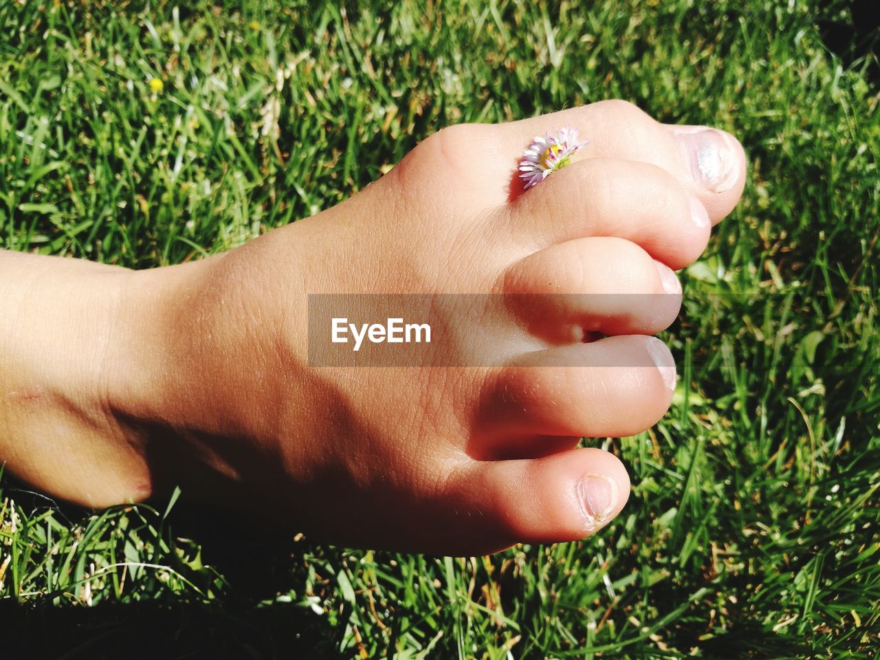 CLOSE-UP OF WOMAN HAND ON GRASS AT FIELD