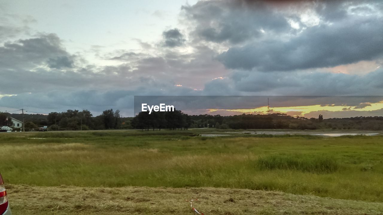 FIELD AGAINST SKY