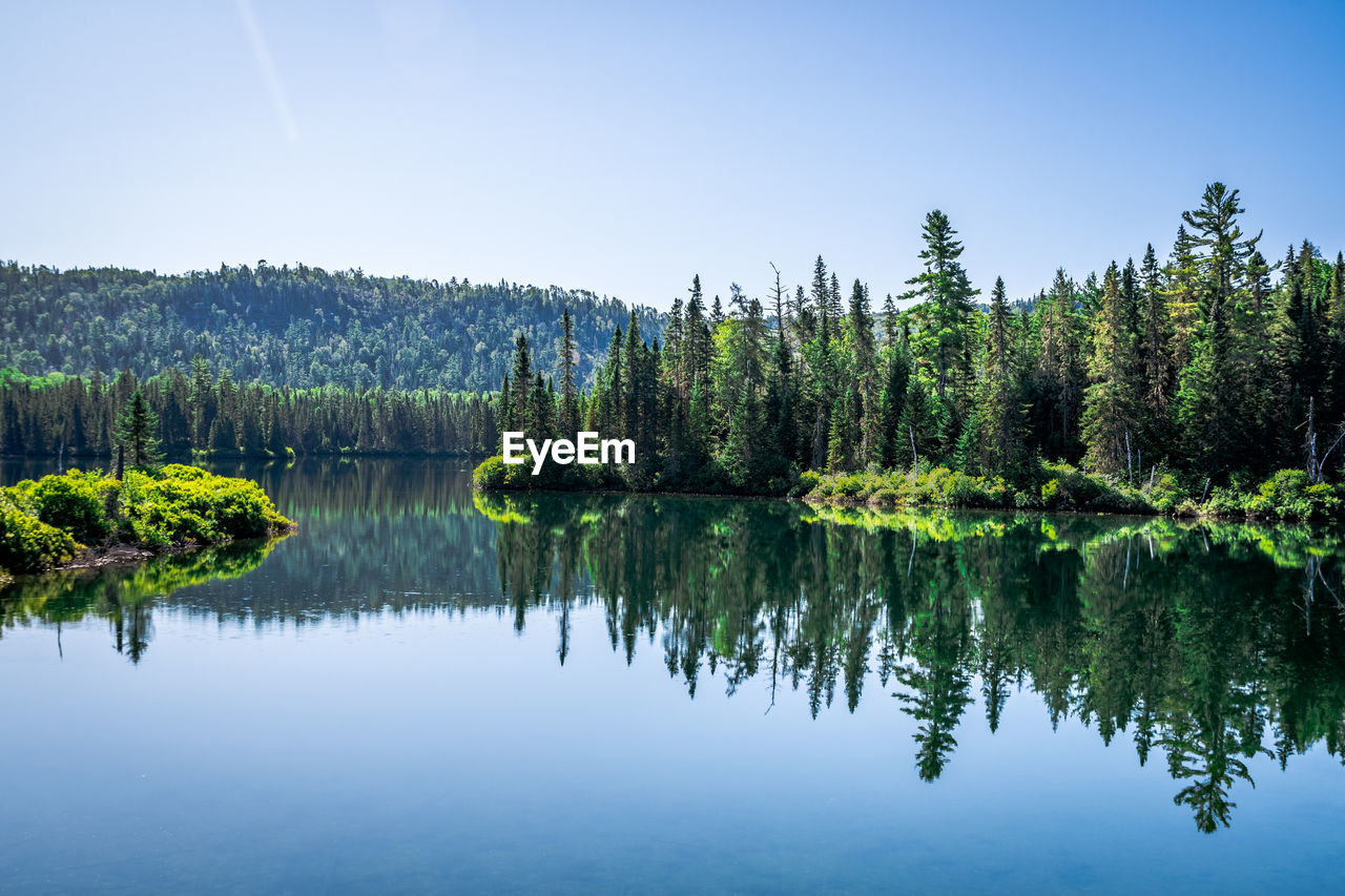 Reflection of trees in lake against sky