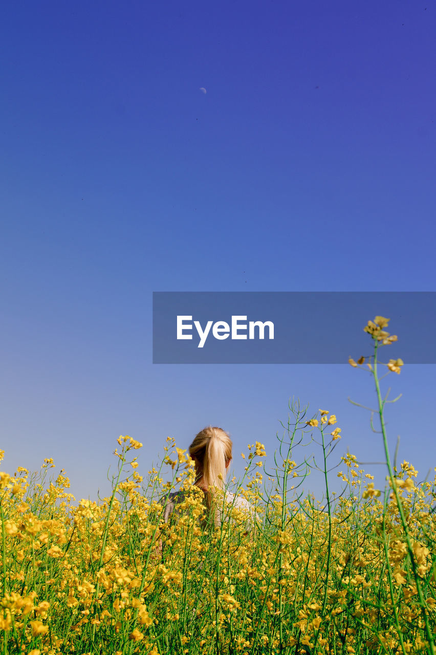 Rear view of young woman standing amidst oilseed rape