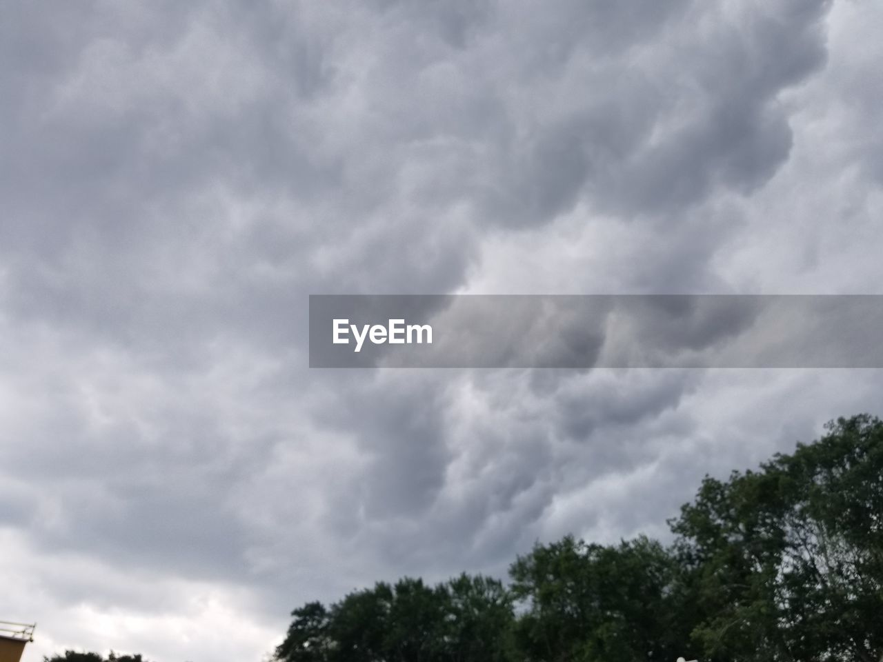 LOW ANGLE VIEW OF STORM CLOUDS OVER TREES