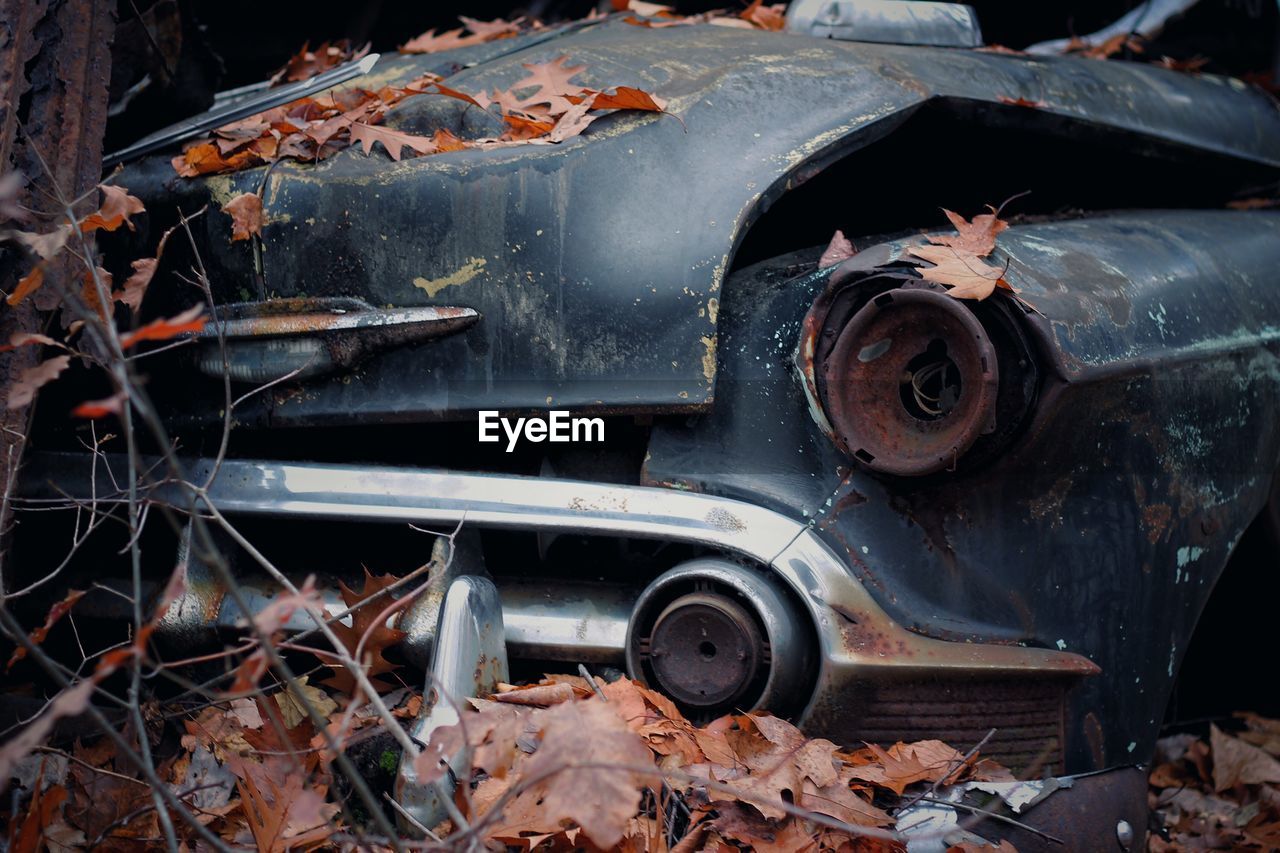 Leaves on abandoned car