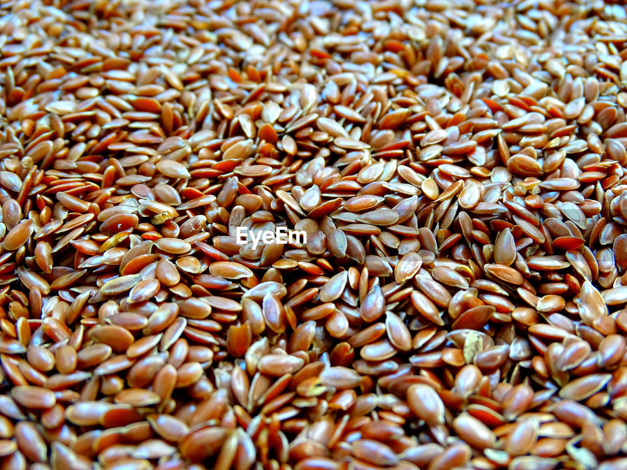 Background of small grains of flaxseed