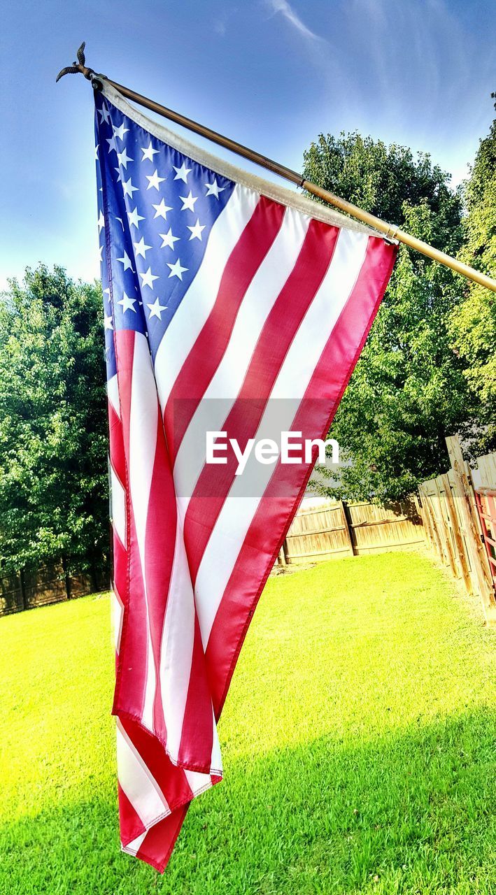 LOW ANGLE VIEW OF AMERICAN FLAG HANGING ON TREE