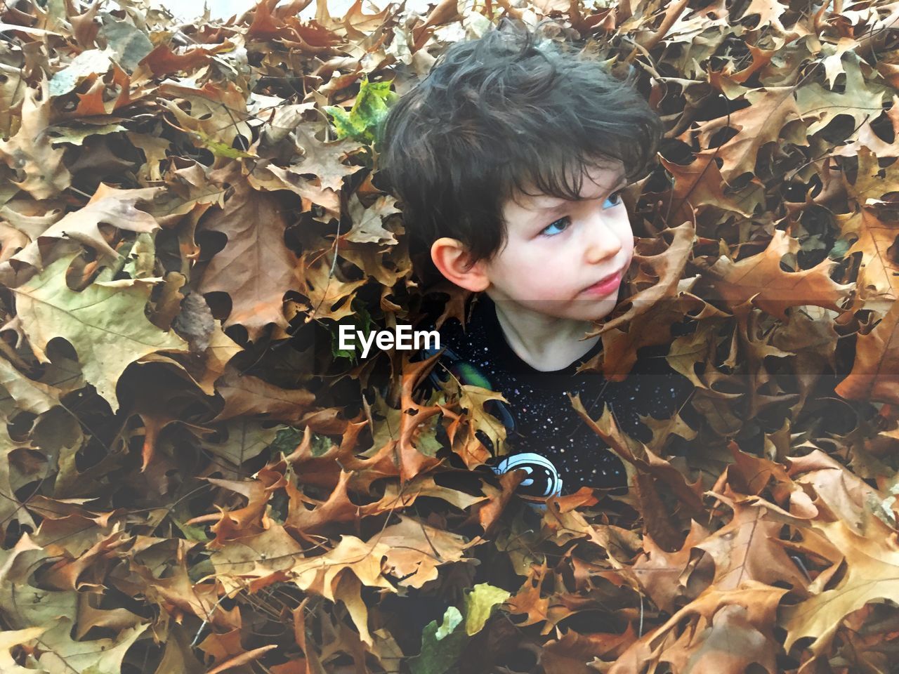 Cute boy amidst autumn leaves