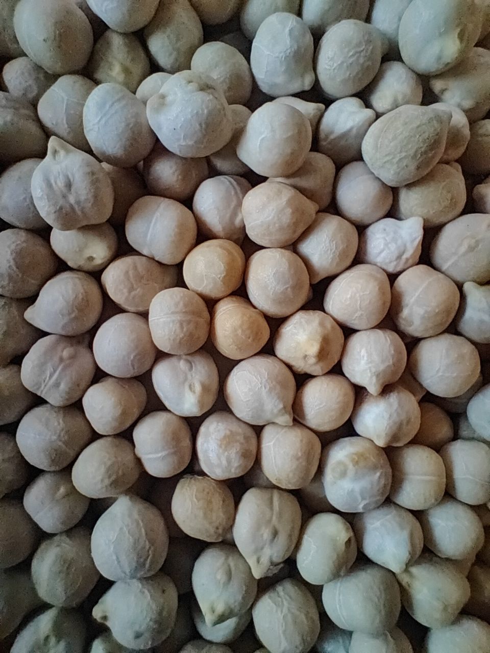 large group of objects, abundance, backgrounds, full frame, produce, food, food and drink, no people, pebble, freshness, wellbeing, still life, healthy eating, close-up, wood, high angle view, indoors, directly above