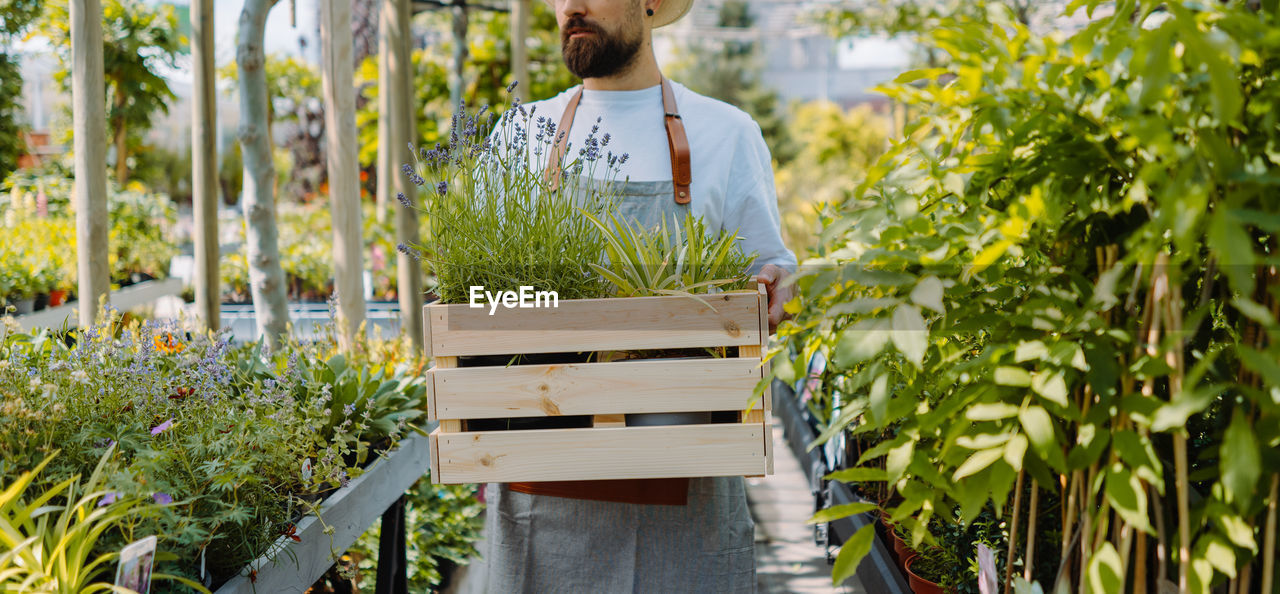 Midsection of male gardener walking and holding box. garden centre shop