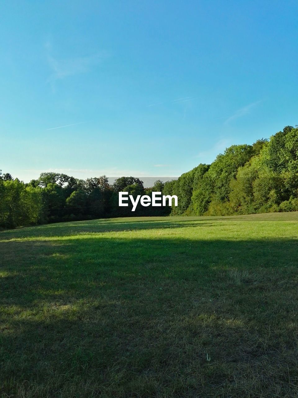 Scenic view of field against clear sky