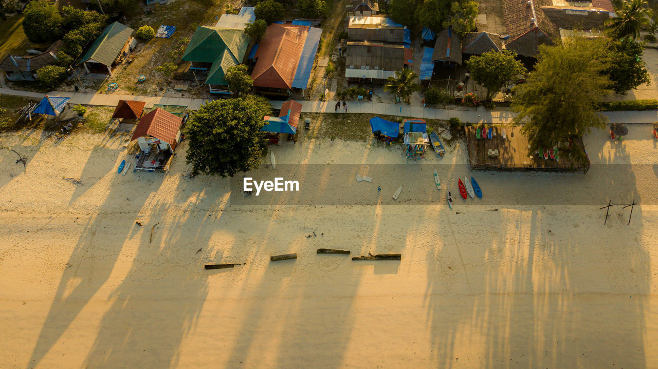 people on beach