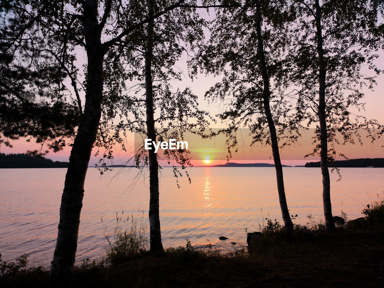 SILHOUETTE TREES BY LAKE DURING SUNSET