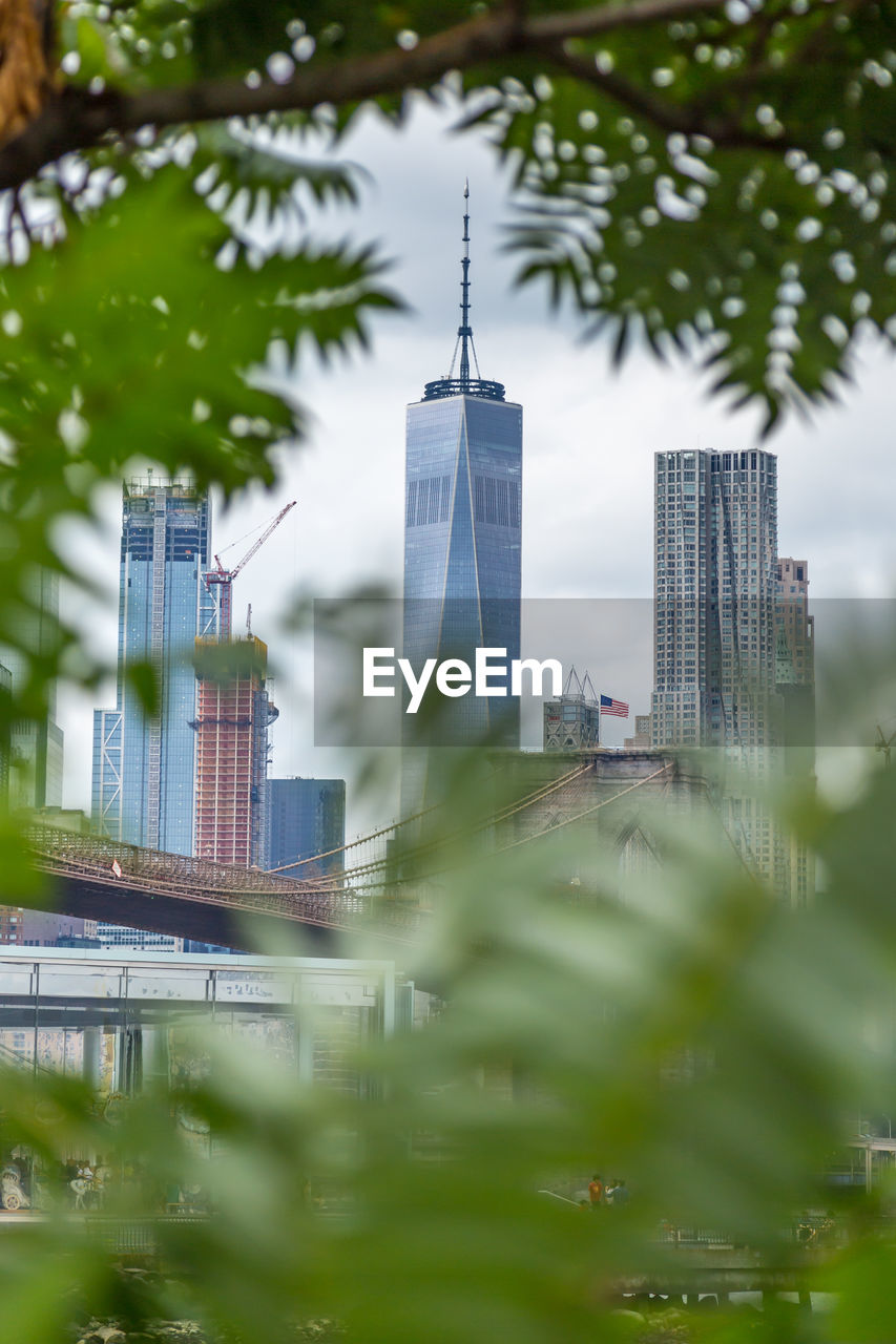 Brooklyn bridge and skyscrapers seen through trees