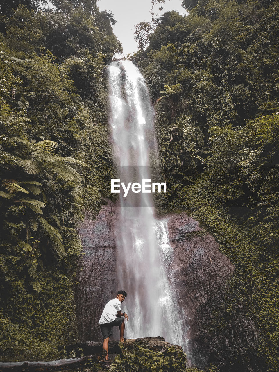 Rear view of man standing by waterfall in forest