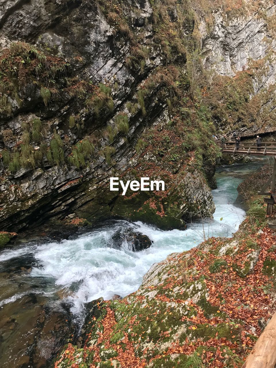 SCENIC VIEW OF WATERFALL AMIDST TREES