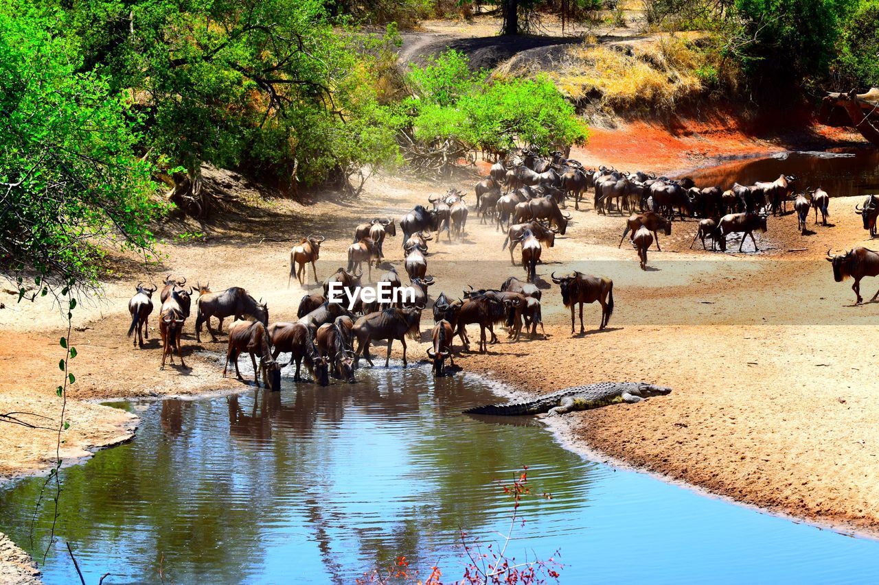 GROUP OF PEOPLE DRINKING WATER