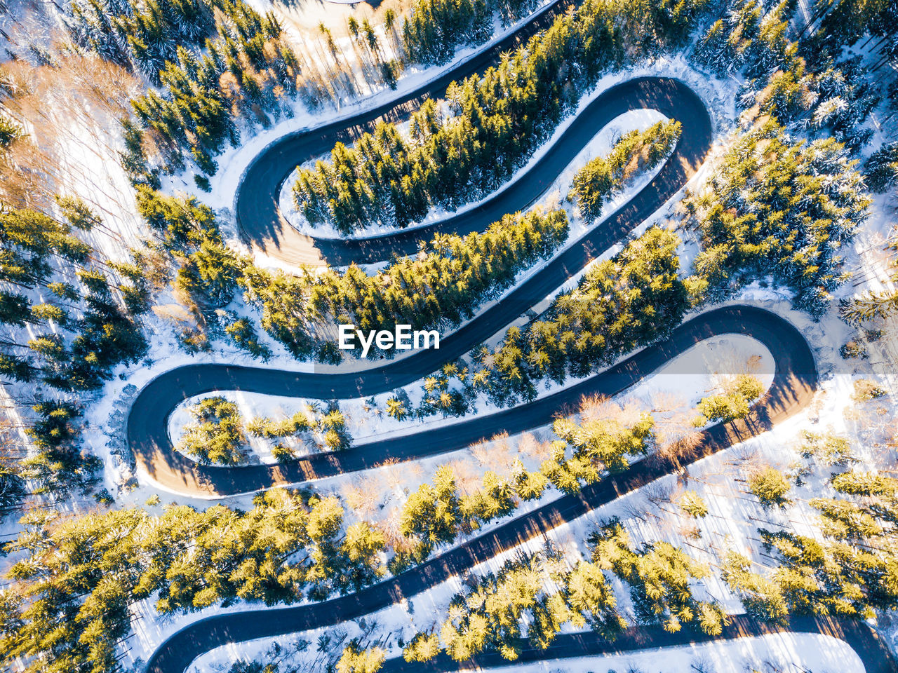Aerial view of road amidst tree during winter