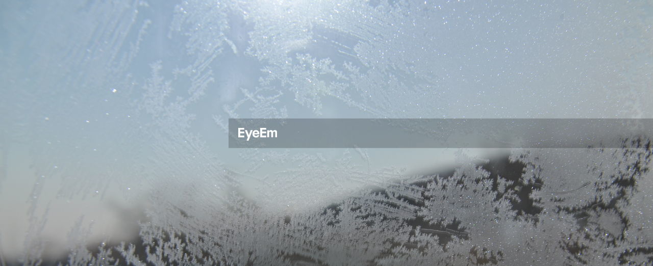 Frost pattern window ice flower