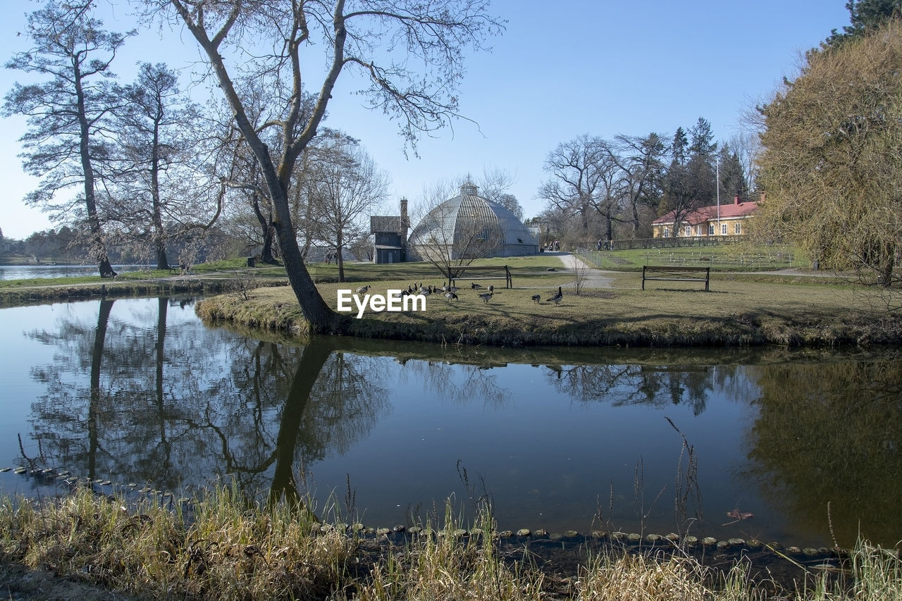 SCENIC VIEW OF LAKE AGAINST TREES