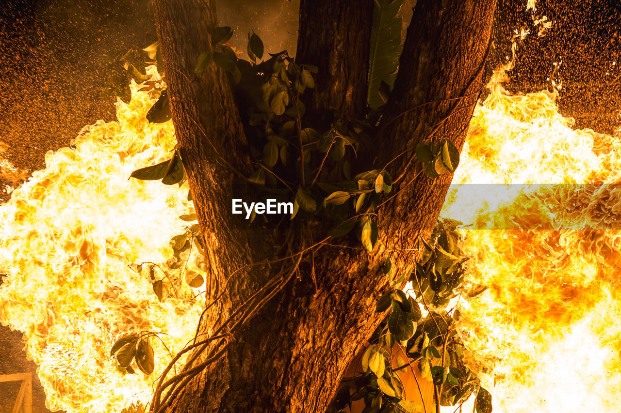 Burning tree trunk at night