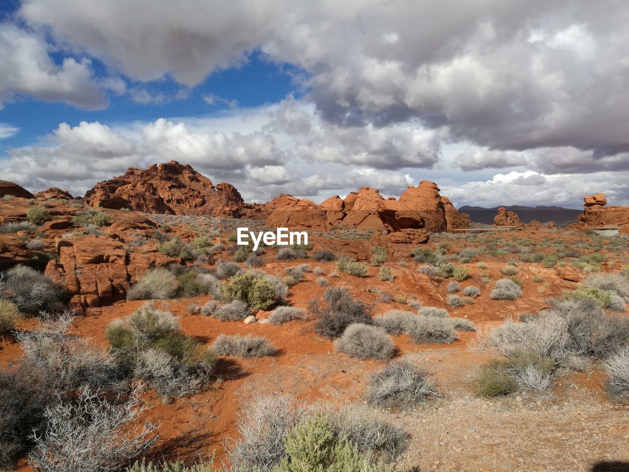 Rock formations and plants on landscape against cloudy sky