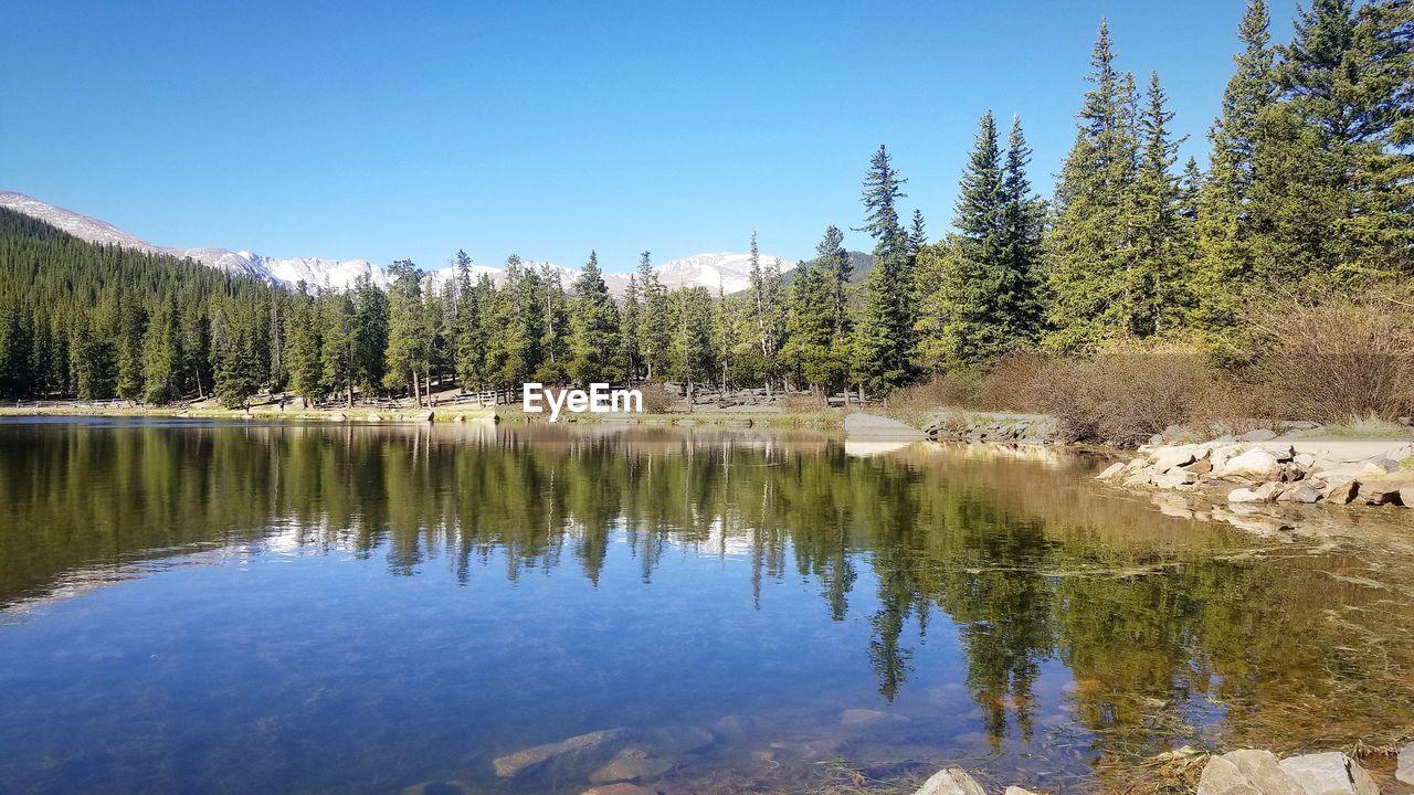 Scenic view of lake in forest against clear sky