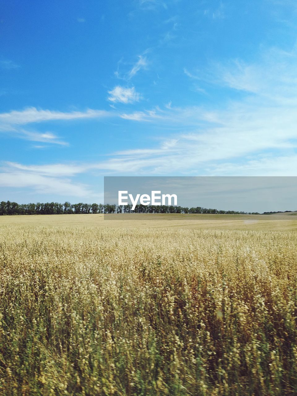 SCENIC VIEW OF FARM AGAINST SKY