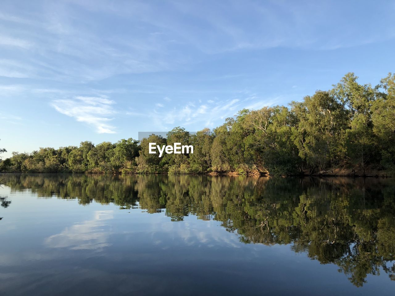 Scenic view of lake by trees against sky