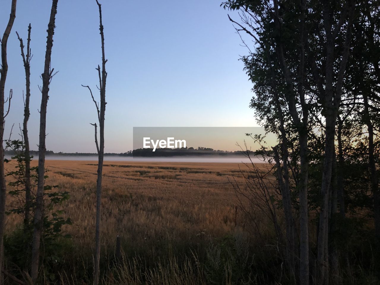 SCENIC VIEW OF LAND AGAINST SKY DURING SUNSET