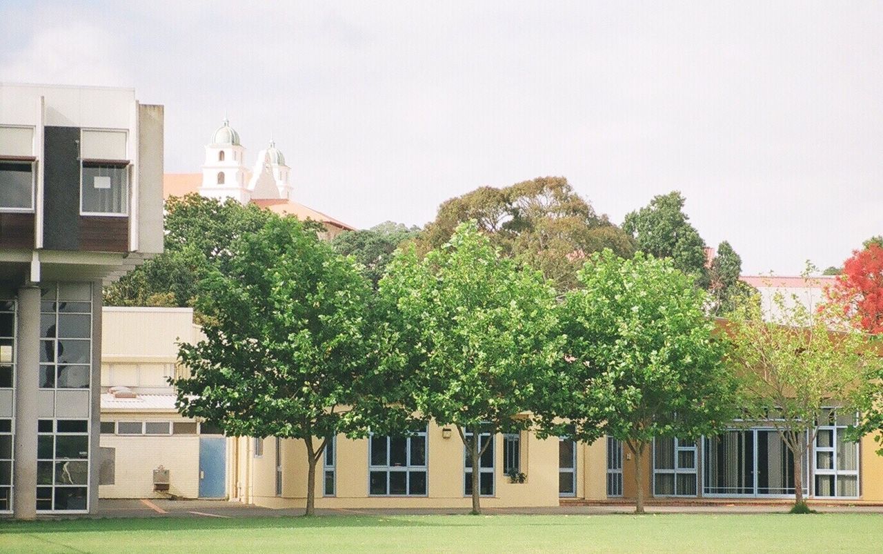 VIEW OF BUILDING WITH TREES IN FOREGROUND