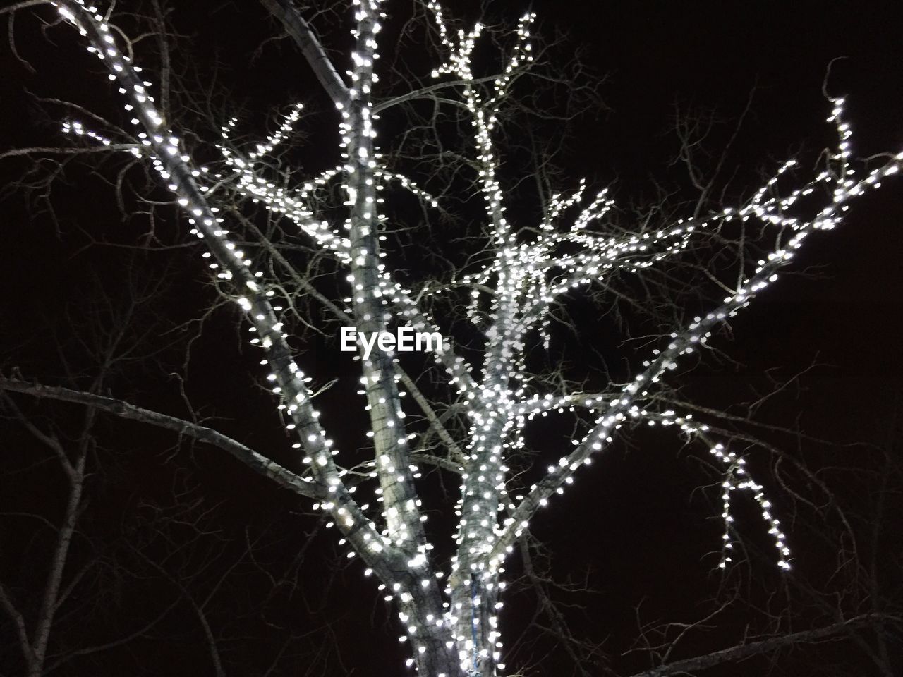 FULL FRAME SHOT OF ILLUMINATED CHRISTMAS TREE AGAINST SKY