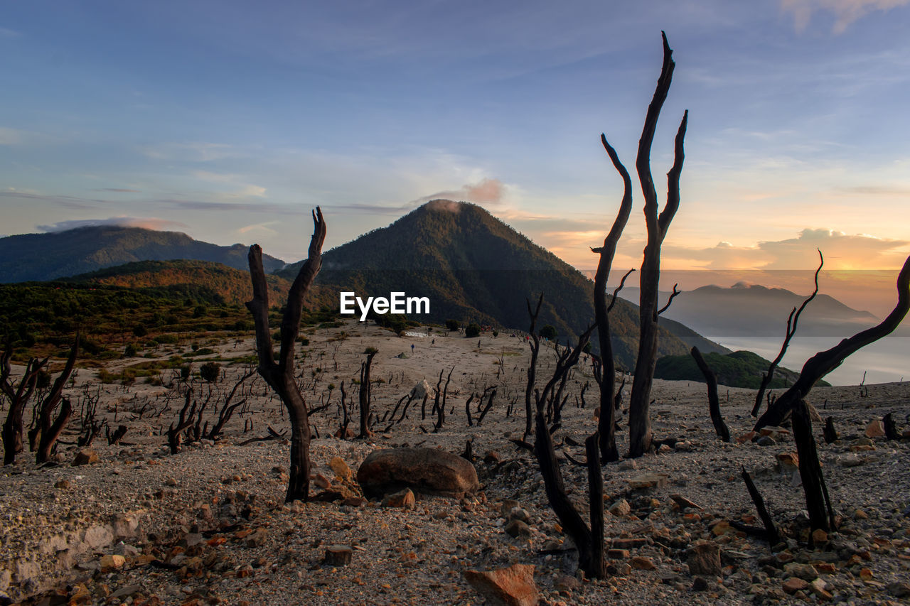 A beautiful morning at dead forest, papandayan mountain in garut west java indonesia