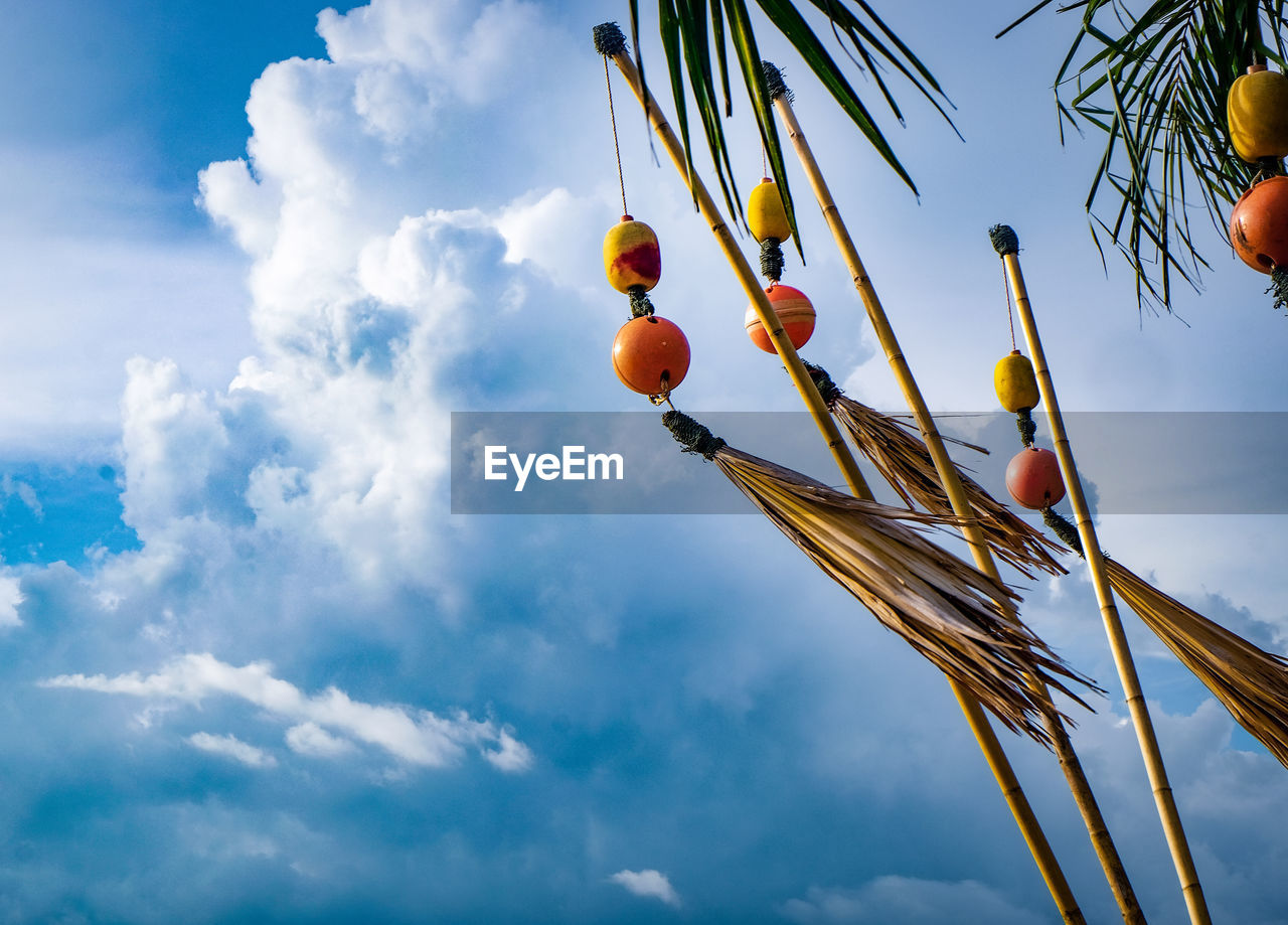 LOW ANGLE VIEW OF ORANGE FRUIT TREE AGAINST SKY