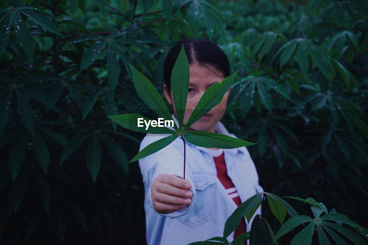 Portrait of woman holding leaves by plant