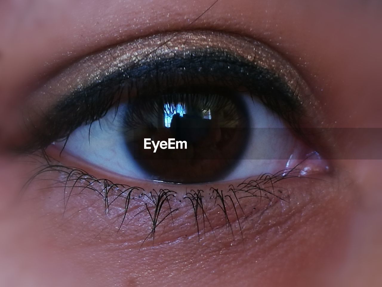 Close-up of human eye
