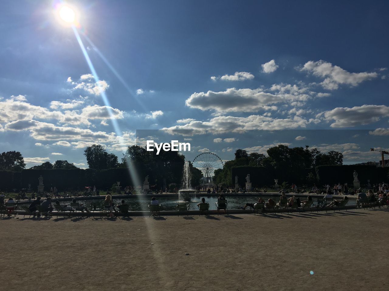 SUN SHINING THROUGH TREES IN CITY