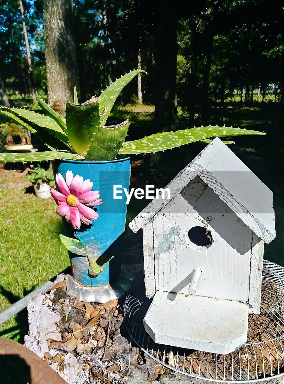 FLOWERS AND TREES GROWING OUTDOORS