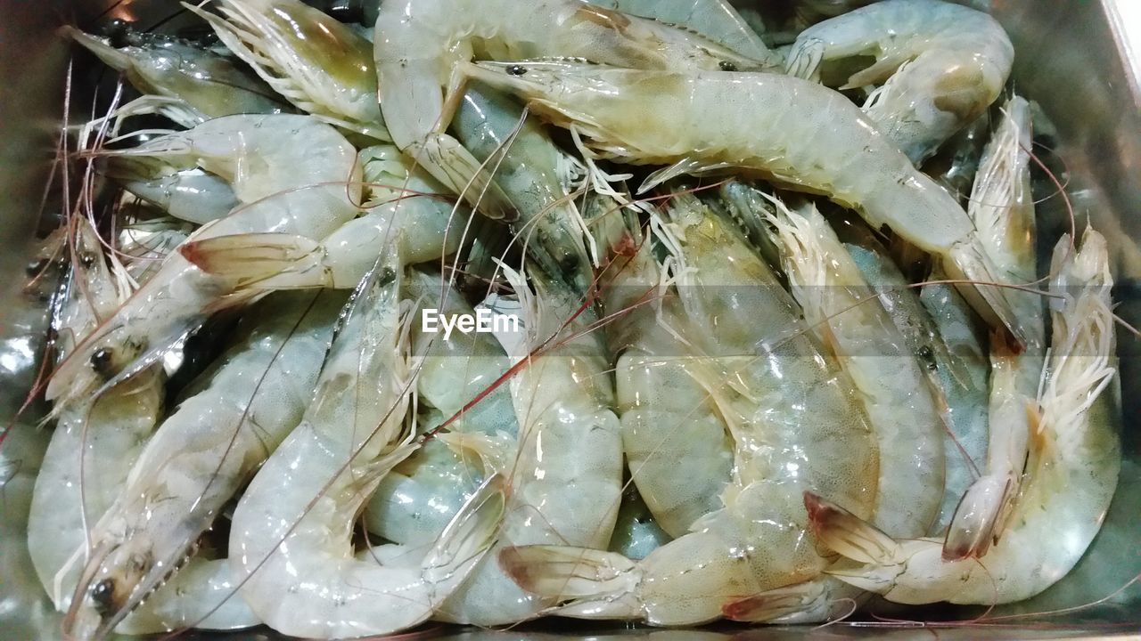 Close-up of prawns in container at market
