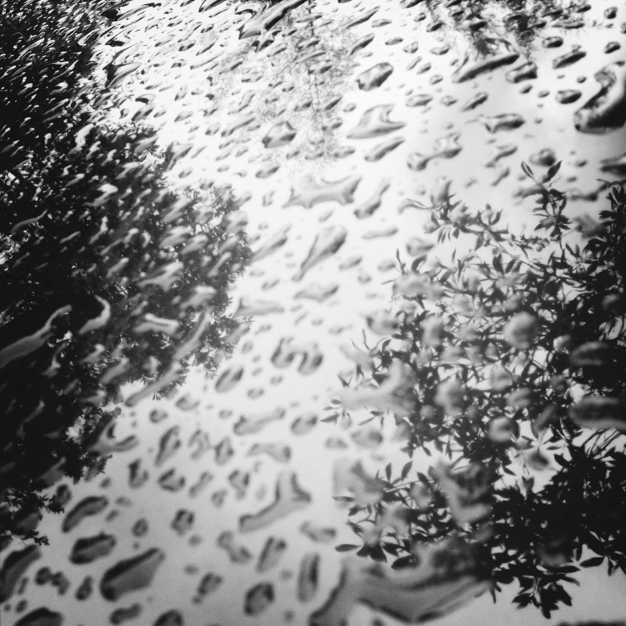 Close-up of water drops on glass window