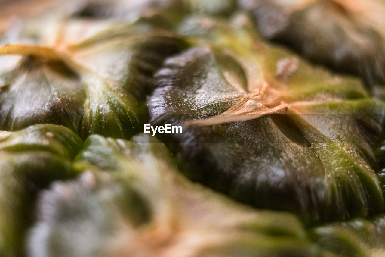 Extreme close-up of pineapple