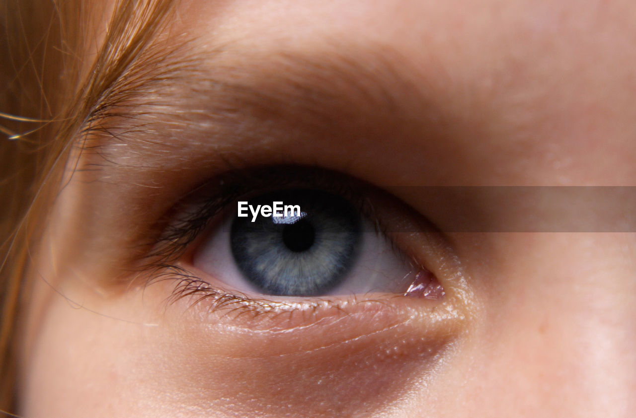 eyebrow, human face, eye, human eye, close-up, eyelash, eyelash extensions, one person, nose, brown, women, portrait, sensory perception, extreme close-up, cheek, adult, looking at camera, child, skin, iris, forehead, young adult, eyeball, childhood, macro, female, human head, vision care, blue eyes, looking, human skin, cosmetics, person