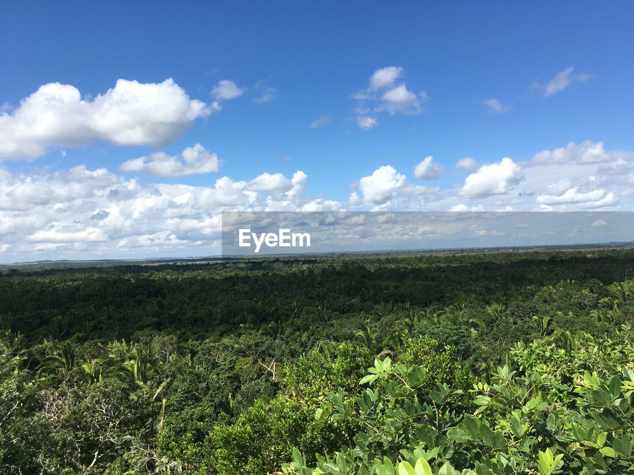 SCENIC VIEW OF FARM AGAINST SKY