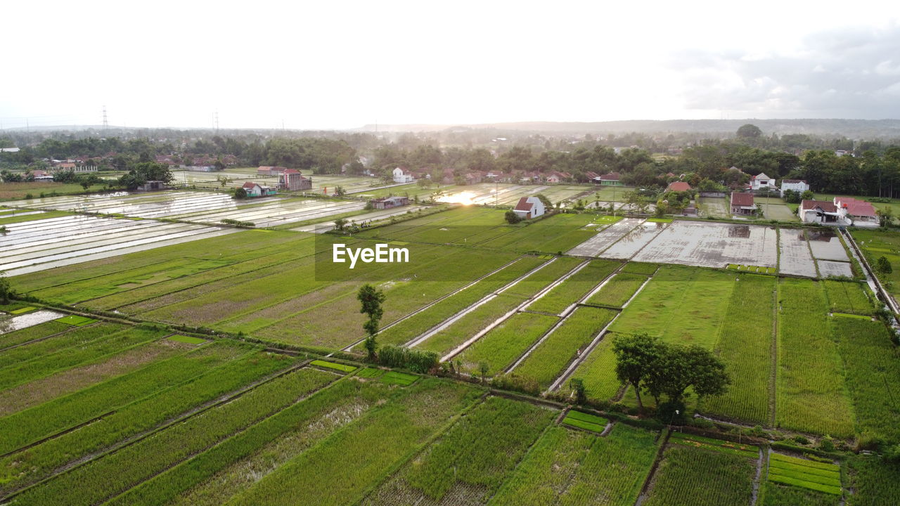 HIGH ANGLE VIEW OF AGRICULTURAL LANDSCAPE AGAINST SKY