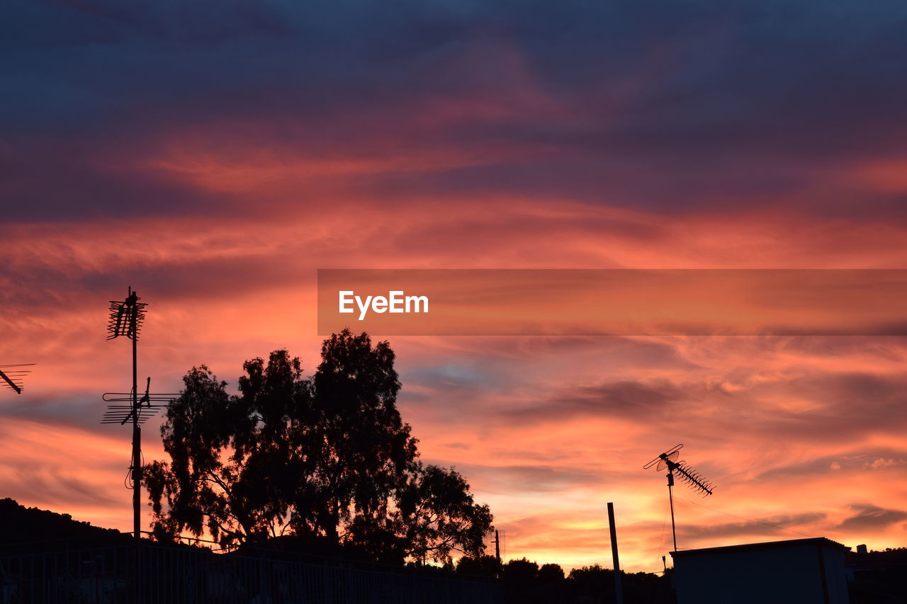 Low angle view of silhouette trees against sky during sunset