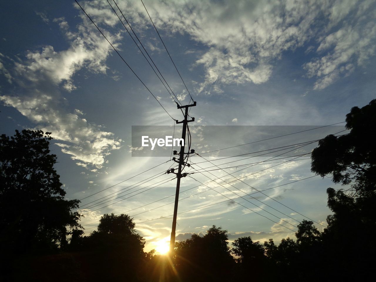 LOW ANGLE VIEW OF SILHOUETTE TREES AGAINST SKY