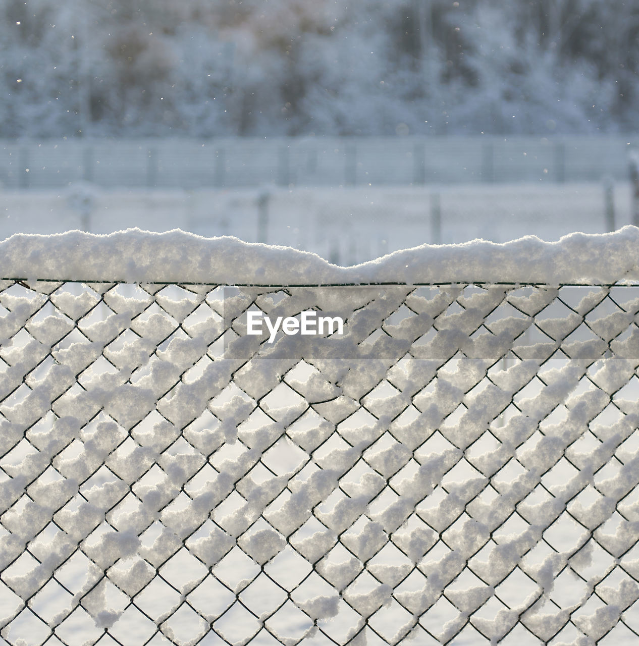 Close-up of snow covered chainlink fence