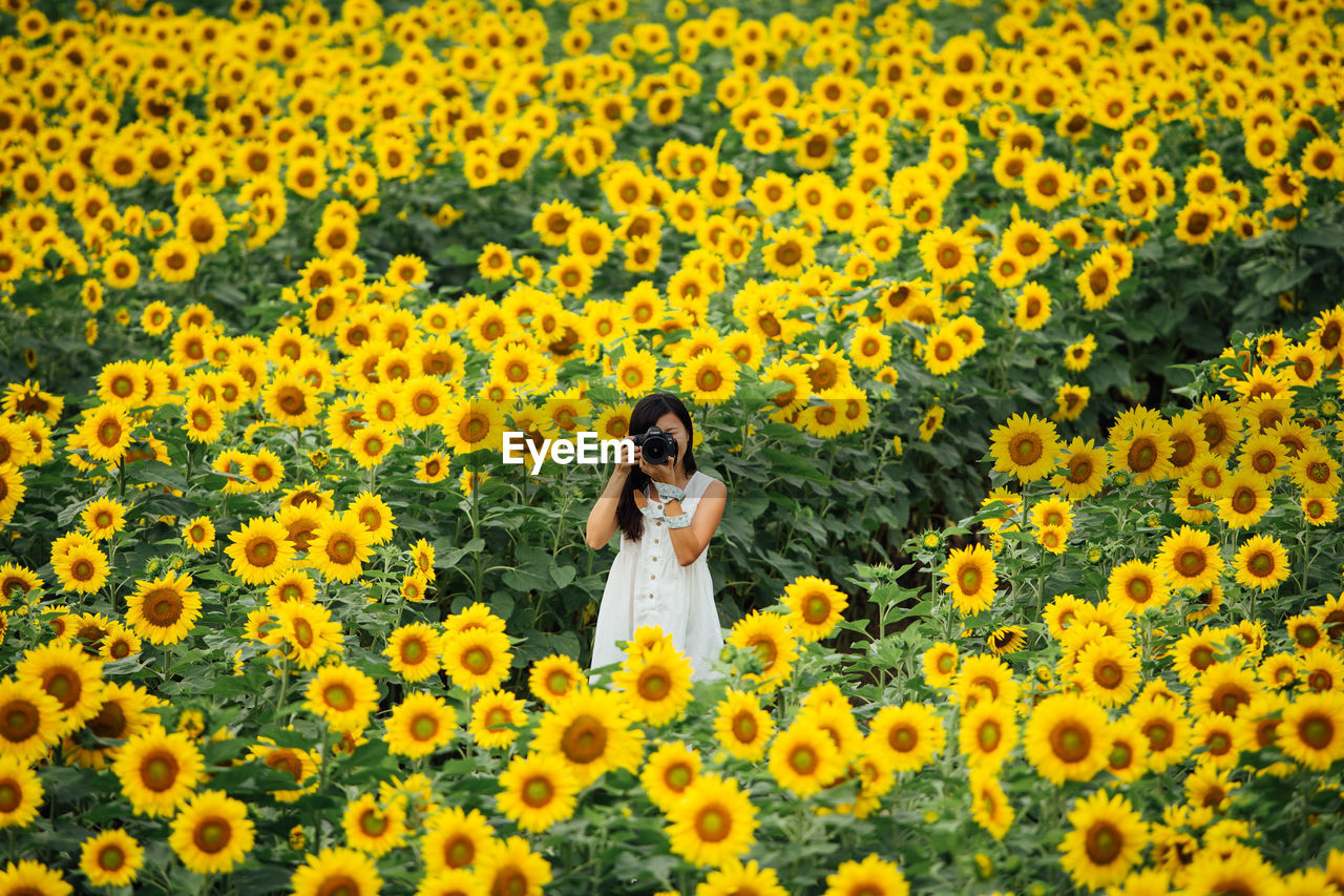 Portrait of young woman with yellow flowers in field